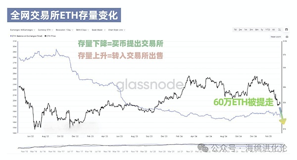 Big Time：一场转瞬即逝的造富幻梦
