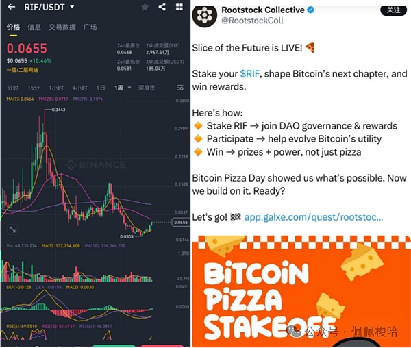 Web3宠物社交赛道迎来重磅玩家：Blockchain Capital豪掷千万押注PetCat