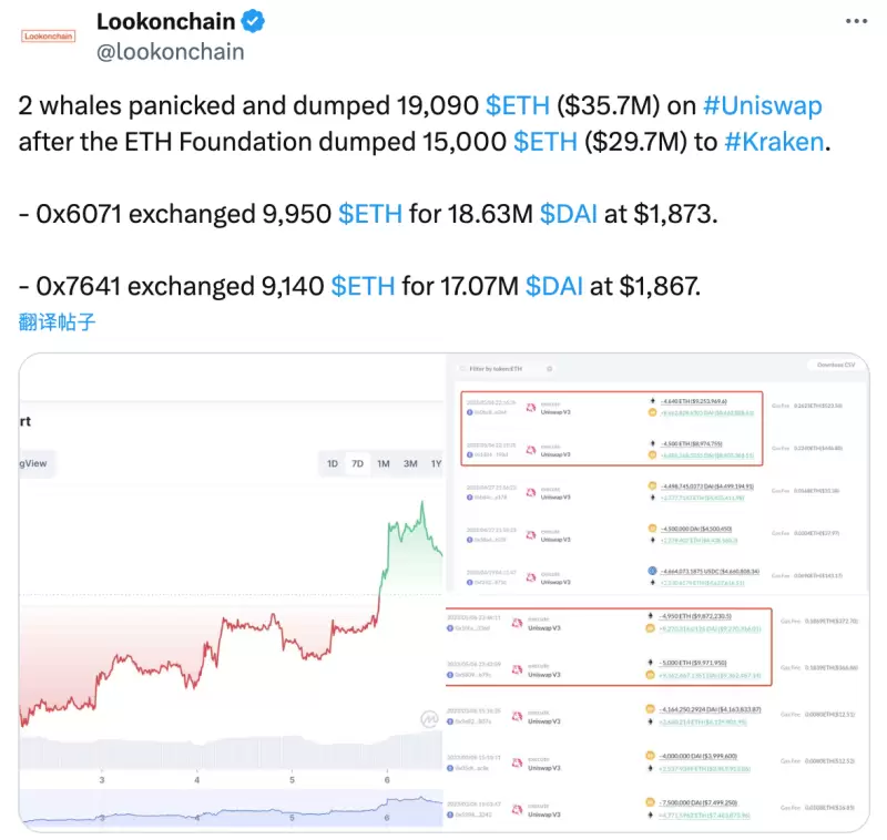 Evolution DAO：数字世界的造梦工厂