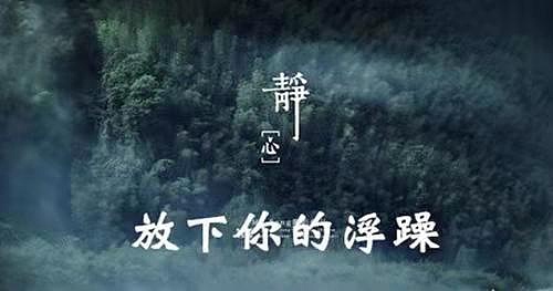 比特币暴涨背后的山寨币机会：TON、LINK、MATIC谁能笑到最后？
