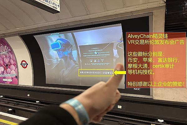 重磅！Bidacoin平台即将迎来CAT代币上线