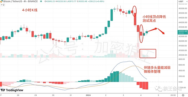 SocialFi新贵$tip：是机遇还是昙花一现？
