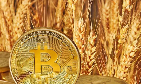 当金融私行遇见数字资产：新火科技CEO翁晓奇在香港放大招