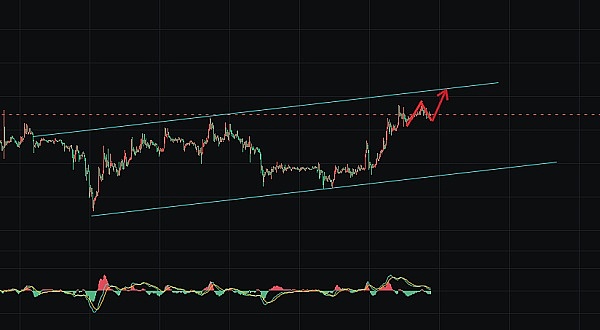 FTX惊天黑幕：用Python代码造假的保险基金骗局
