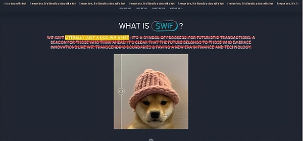 WSPN华丽转身：一个小众支付网络的逆袭之路