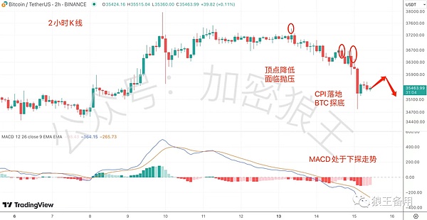 加密货币市场狂欢：比特币剑指13万大关，山寨币行情即将爆发？