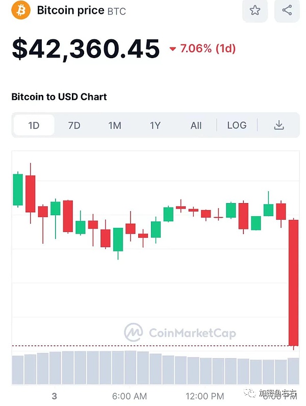 当加密世界遇见神秘黑猫：新加坡Token2049现场直击